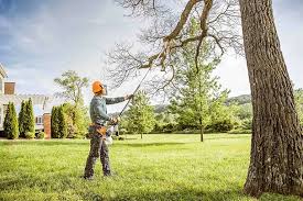 Best Arborist Consultation Services  in Magnolia, NC