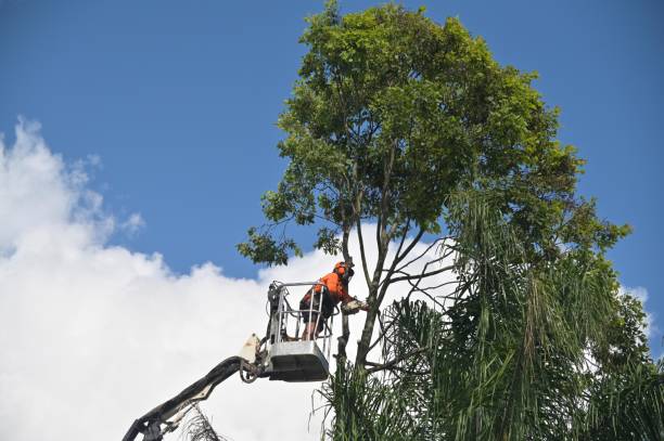 Best Weed Control  in Magnolia, NC